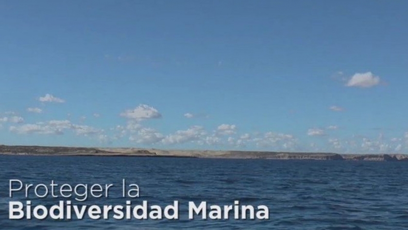 INIDEP participó del tercer encuentro de la Comisión Técnica Consultiva del proyecto Proteger la Biodiversidad Marina