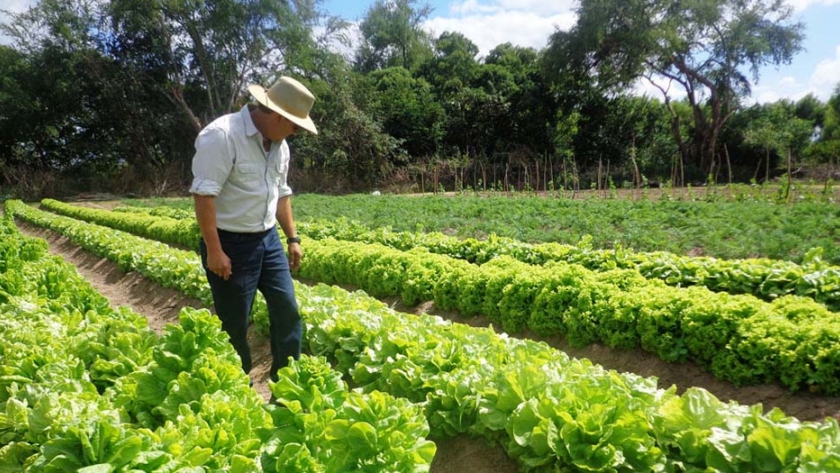 Nace en Francia la asociación Numagri, con el fin de estandarizar los datos agrícolas