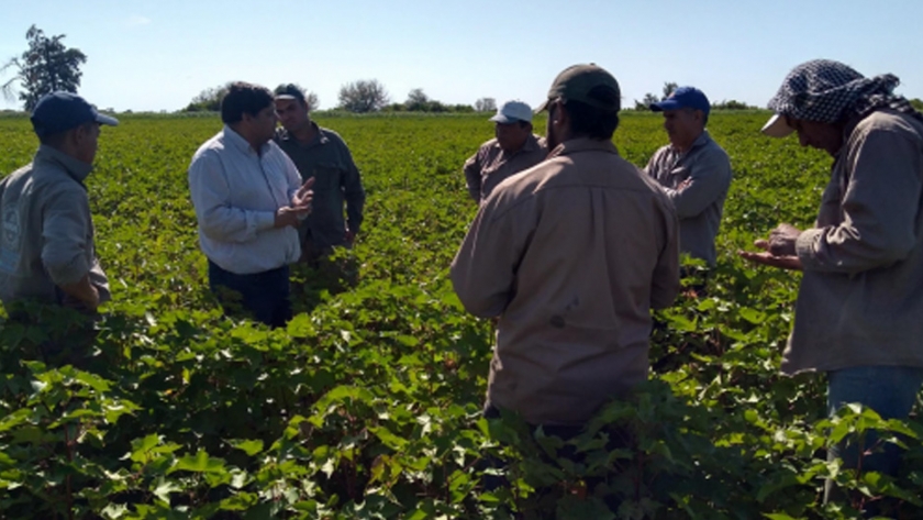 Actualidad del programa Cambio Rural en el área de influencia de la EEA INTA Santiago del Estero, Argentina