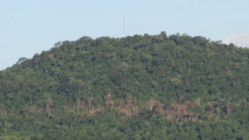 La Ley de Bosques tiene quien la explique: La Fundación Vida Silvestre lanzó una web con fines educativos