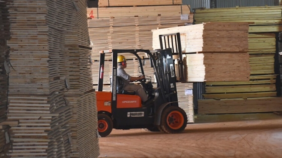 EVOECO Construcciones, la mayor fábrica industrializada de viviendas de madera está paralizada hace 15 días en Posadas