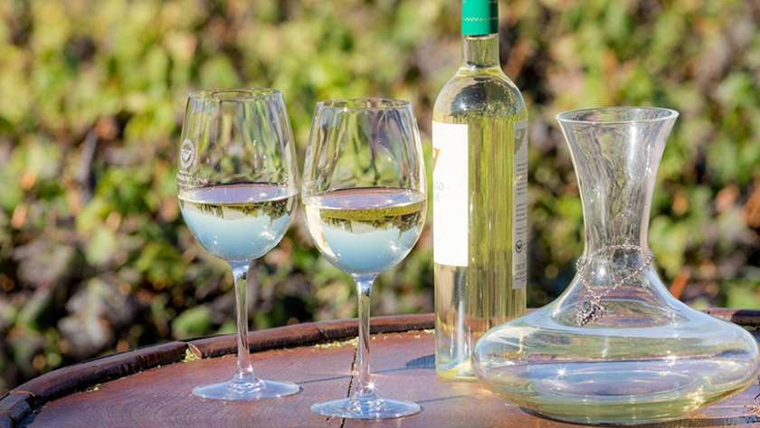 Salta deleitó en el ciclo "Vinos, viajes y encuentros: una experiencia argentina"