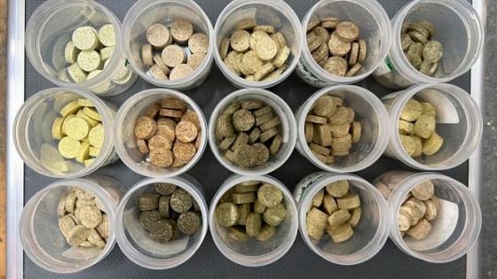 La maleza invasora en Australia: una solución energética sostenible con pellets de biomasa