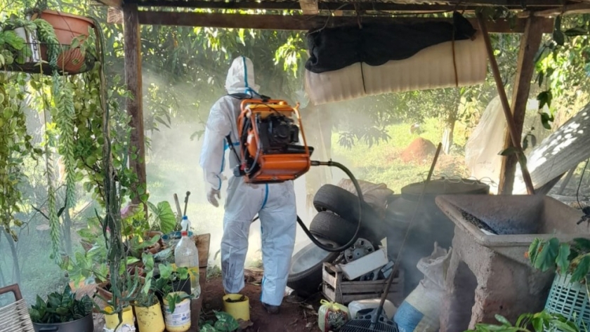 Continúan las acciones de detección y prevención del dengue en Misiones