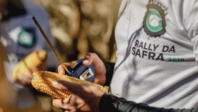 El USDA contradice a la Conab y asegura que la producción de maíz brasileña será bastante inferior a la prevista