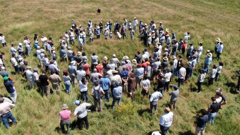 Llega una cumbre que reunirá a productores agropecuarios y empresas por la regeneración