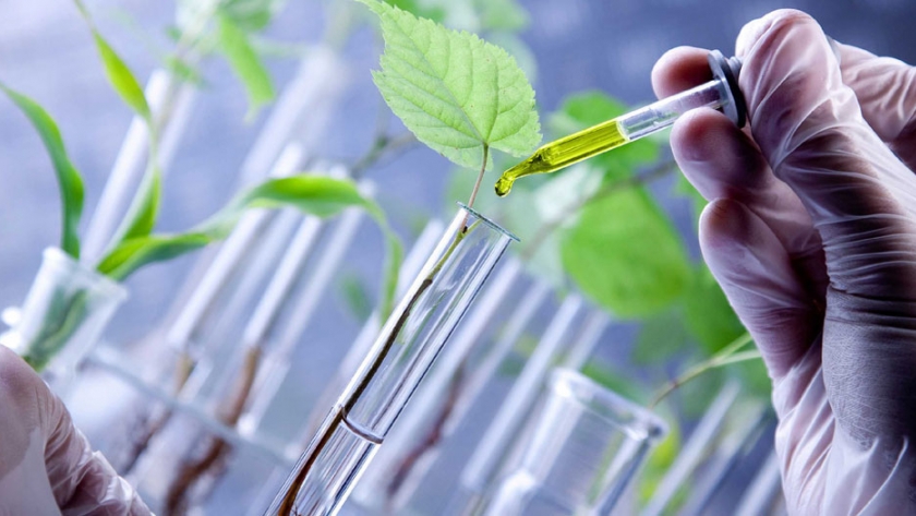 Encuentro para investigadores y emprendedores biotecnológicos