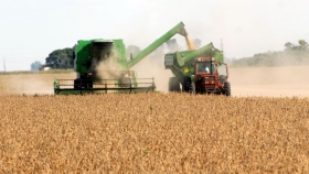 El USDA recortó producciones, mientras el mundo entra en tensión por Afganistán