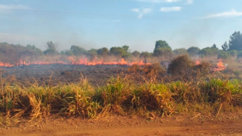 Falta de recursos hídricos agrava el combate de los incendios en Misiones