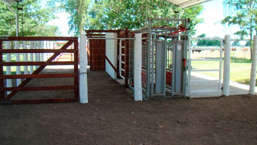 Habilitan un centro de genética bovina en el norte santafesino