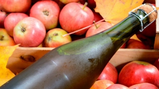 Sidra patagónica: el sello de origen entra en una etapa decisiva