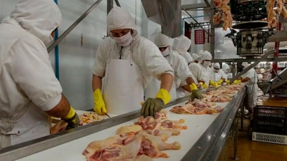 Vietnam vuelve a comprar harina aviar y consolida su posicionamiento entre las exportaciones argentinas
