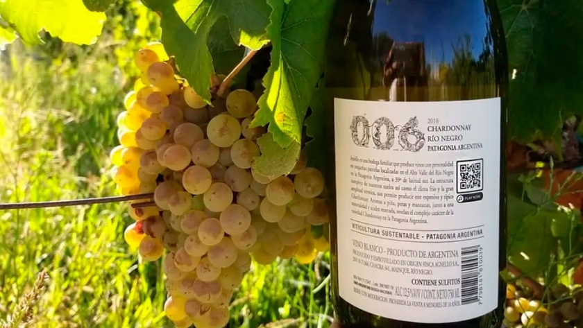 Vinos para todos