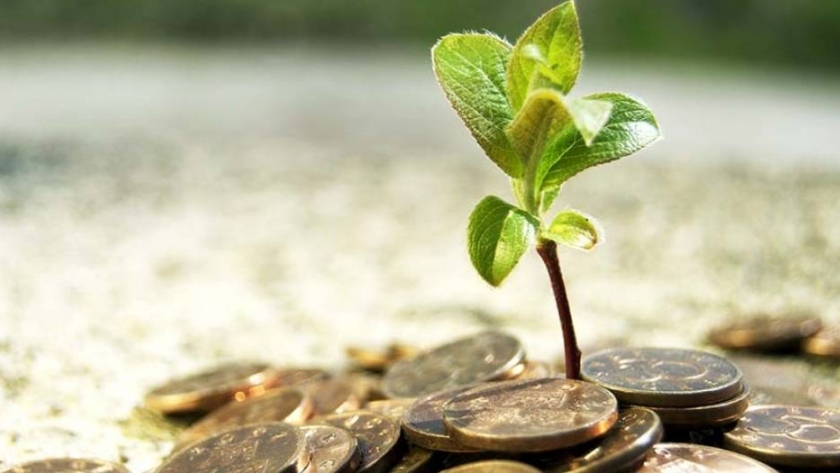 Invertir en Uruguay: todos los beneficios y costos de cada actividad agropecuaria