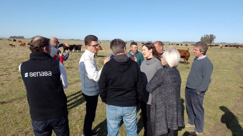 La carne vacuna argentina va por un nuevo mercado para exportar: Serbia