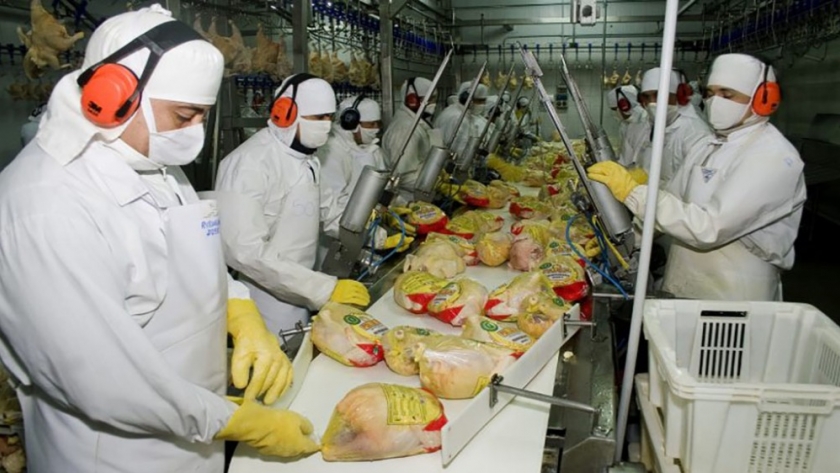 Argentina vuelve a exportar productos aviares a Japón