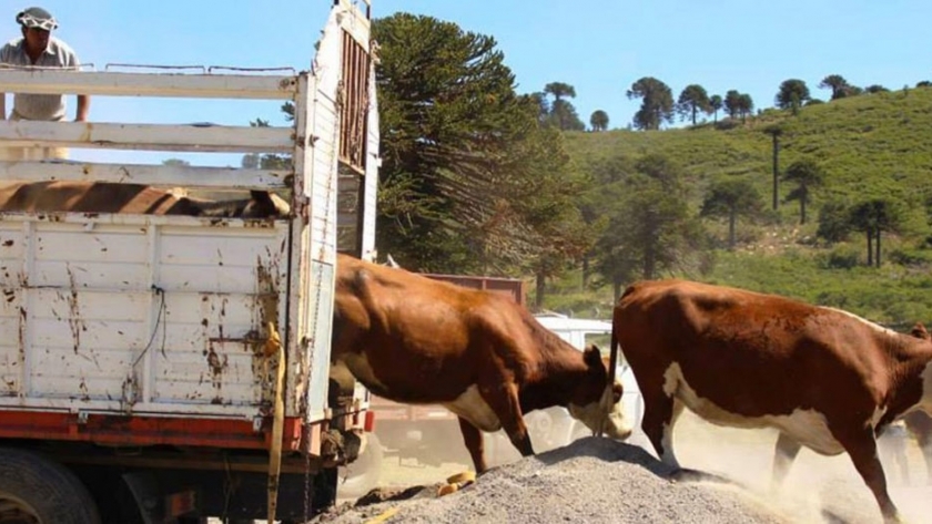 Permisos de circulación para la producción agroalimentaria