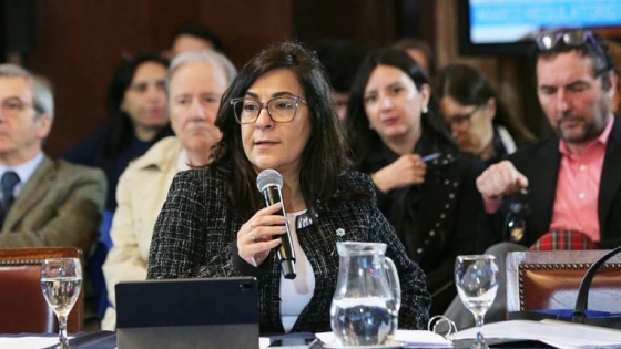 Bioetanol: el Senado avanza con una ley clave para el Norte