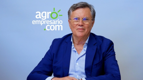 ¿El mercado global de bioenergías crece?