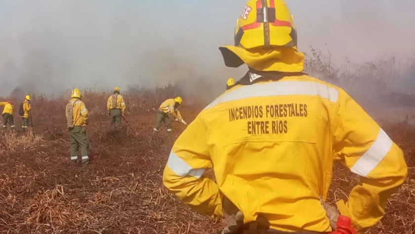 El Comité de Emergencia Ambiental presentó ante la Justicia las acciones acordadas para atender incendios en el Delta
