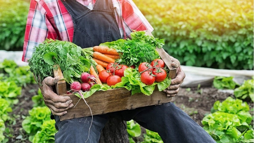 La Provincia abre las inscripciones para módulos productivos de la agricultura familiar