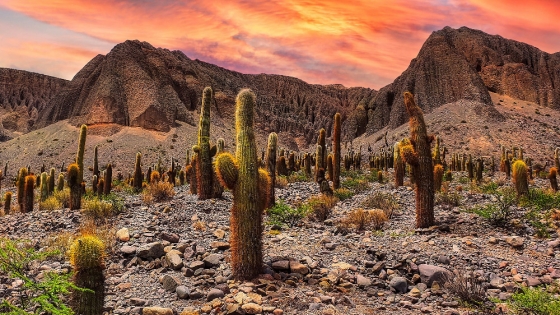 La industria turística en Salta enfrenta desafíos económicos previos a la temporada de verano