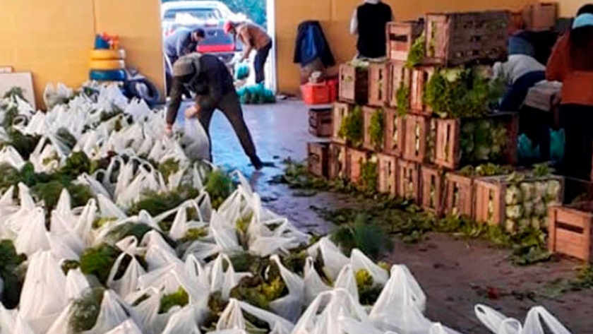 Donaron 13 mil kilos de verduras con las Bolsas Solidarias de la Agricultura Familiar