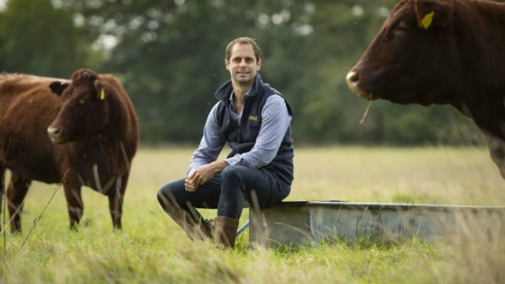 Breedr raises $27 million to expand its livestock platform