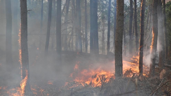 Córdoba declaró la alerta ambiental por riesgo de incendios ante condiciones climáticas críticas