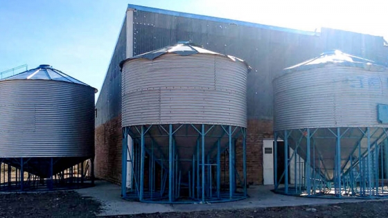 Paso Aguerre: la sala de faena y la planta de alimentos balanceados están a punto de inaugurarse