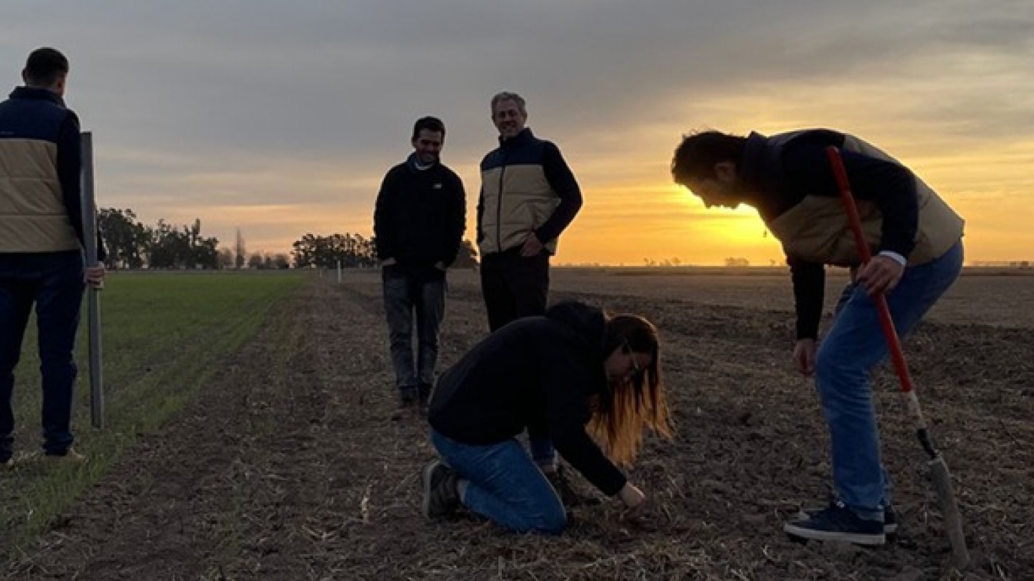 Biológicos con sello propio: Koppert lanzará un nuevo fijador de nitrógeno desarrollado con una cepa exclusiva