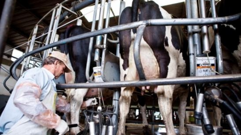Argentina con 0,293 dólares el litro de leche