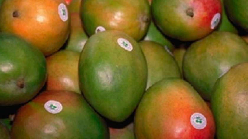 El mango aumentó su comercialización en Argentina en los últimos 5 años