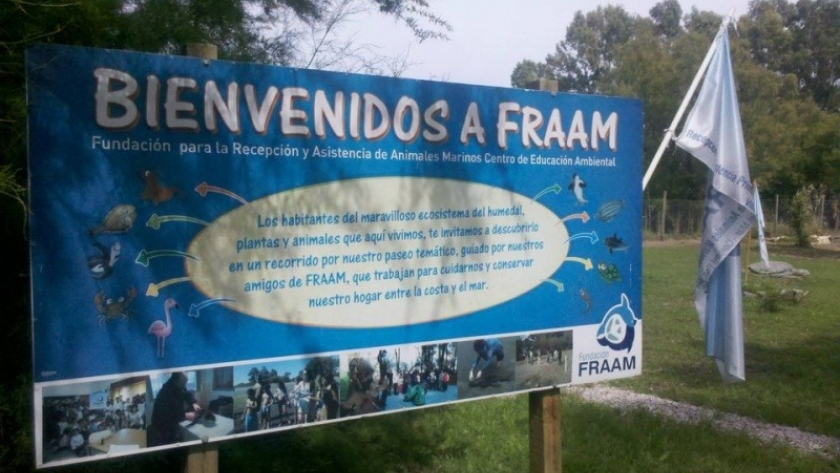 Villa del Mar: La Fundación para la Recepción y Asistencia de Animales Marinos invita con actividades para este fin de semana