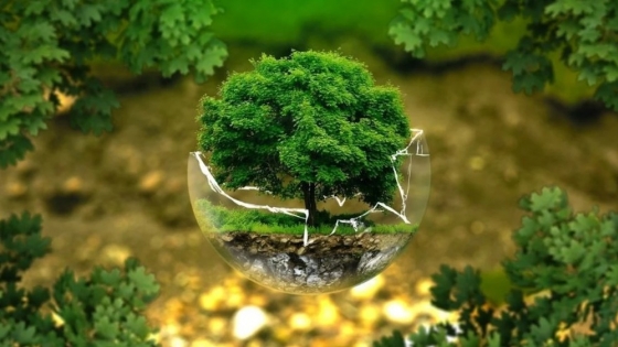 Ecofintechs: innovación financiera al servicio del medio ambiente