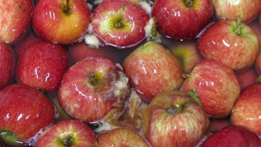 Pautas de higiene en empaque para reducir pérdidas de frutas en poscosecha