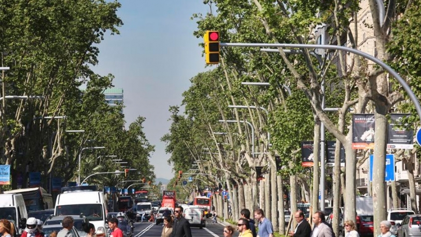 Beneficios de los árboles urbanos