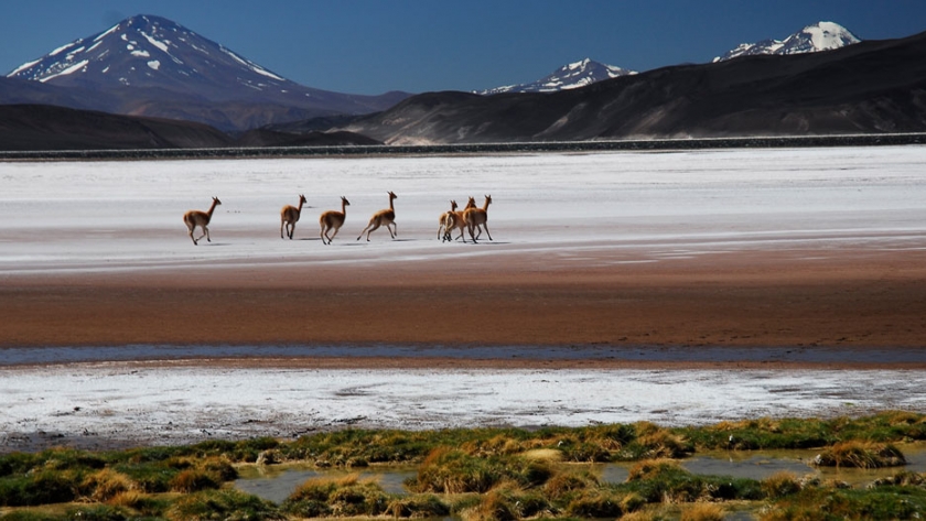 La experiencia del turismo rural en Catamarca y Santiago del Estero