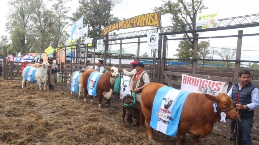 Se realizó el acto apertura de la 78° Edición de la Expo Rural Formosa 2023