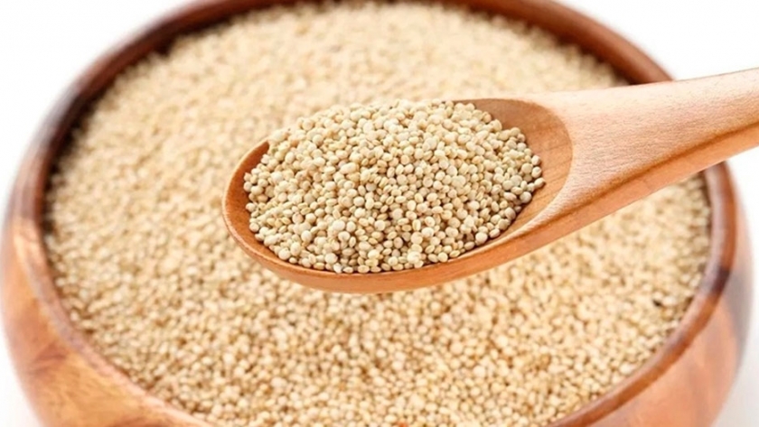 Estudian la potencialidad de la quinoa como alimento para astronautas