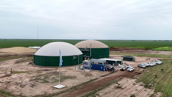 Planta de biogás del norte cordobés apunta al mercado internacional