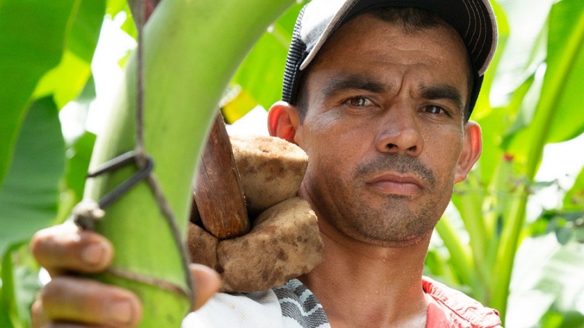 Comercio sostenible para impulsar el campo