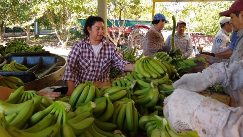Aseguran que el Plan NUTRIR funciona con normalidad a pesar de la pandemia