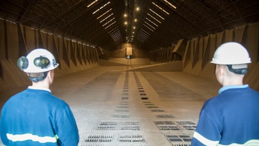 Con mayores retenciones se modifica la matriz agroexportadora argentina