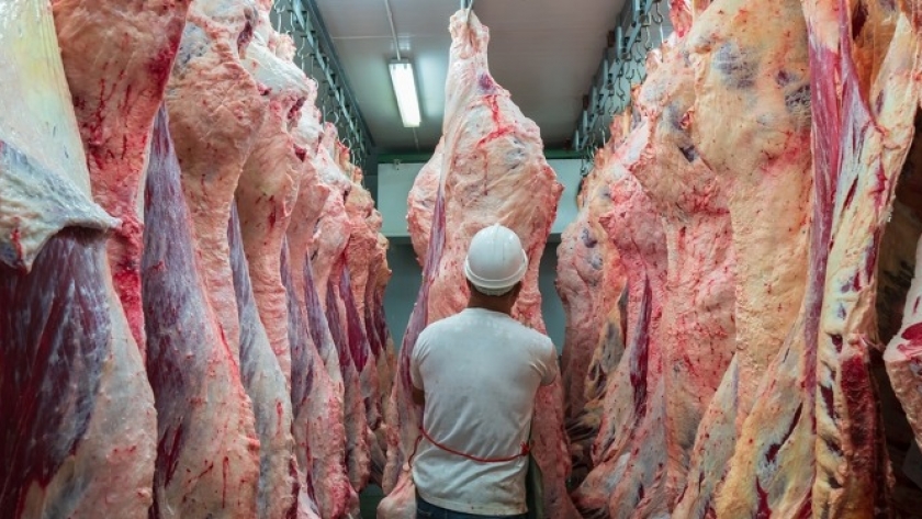 La Argentina logra un nuevo récord de embarques de carne vacuna, se queda con 8% del mercado mundial y se consolida como quinta exportadora