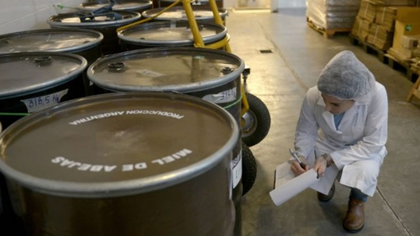 Santa Fe lidera la exportación de miel junto a Buenos Aires y Entre Ríos