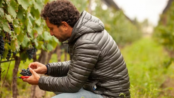 Juan Pablo Murgia: El enólogo argentino que transforma el frío extremo en vinos de clase mundial