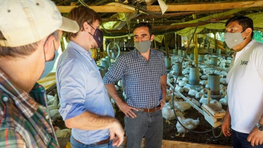 Ifai y Ministerio del Agro recorrieron los criaderos de la Cooperativa Avícola