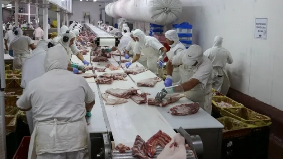 China analiza sanciones a las importaciones de cerdo europeo