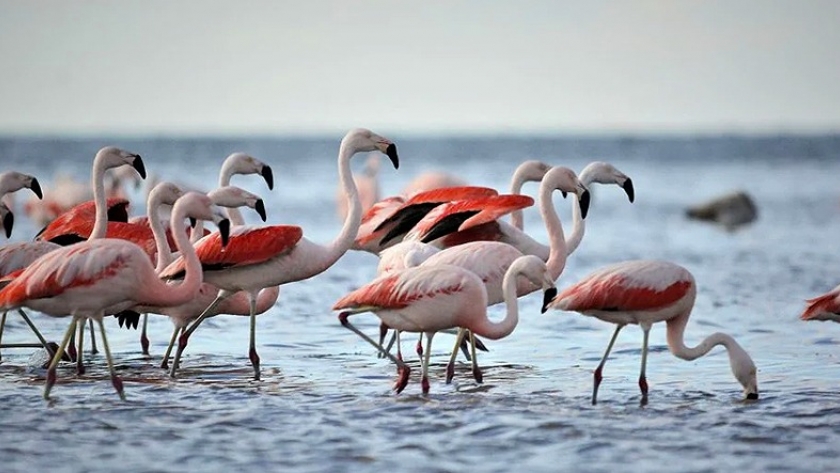La Argentina crea otro parque nacional en Córdoba
